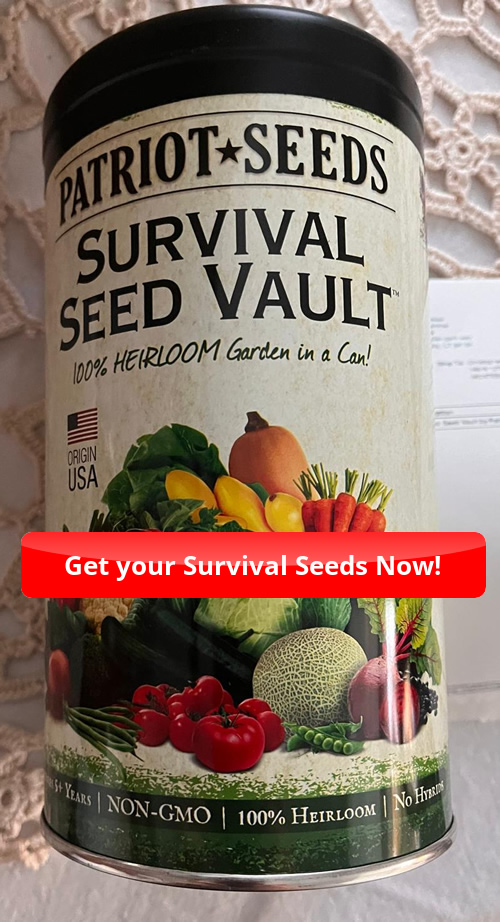 Genesis Code Seeds: Survival Seed Vault + Genesis Code by Teddy Daniels