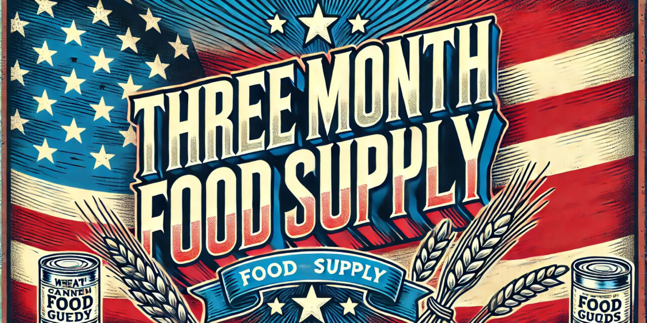 4Patriots 3 Month Food Supply Review: Worth the Cost?