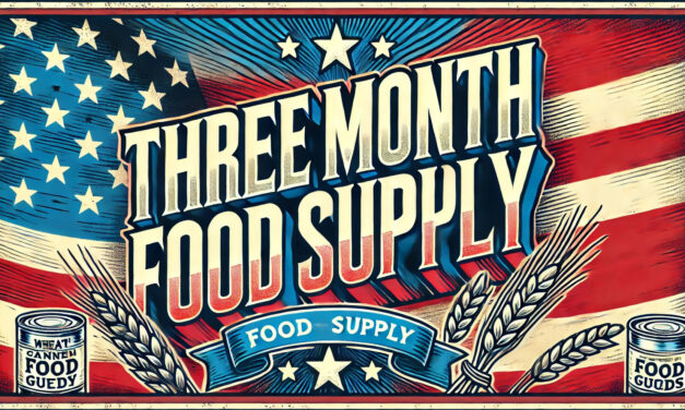 4Patriots 3 Month Food Supply Review: Worth the Cost?